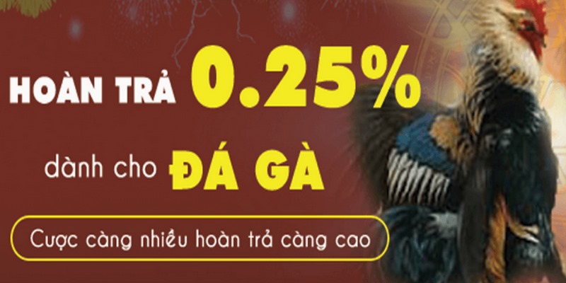 uu dai da ga casino67